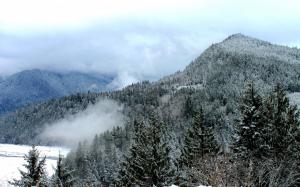 Winter in the Elwha River Valley